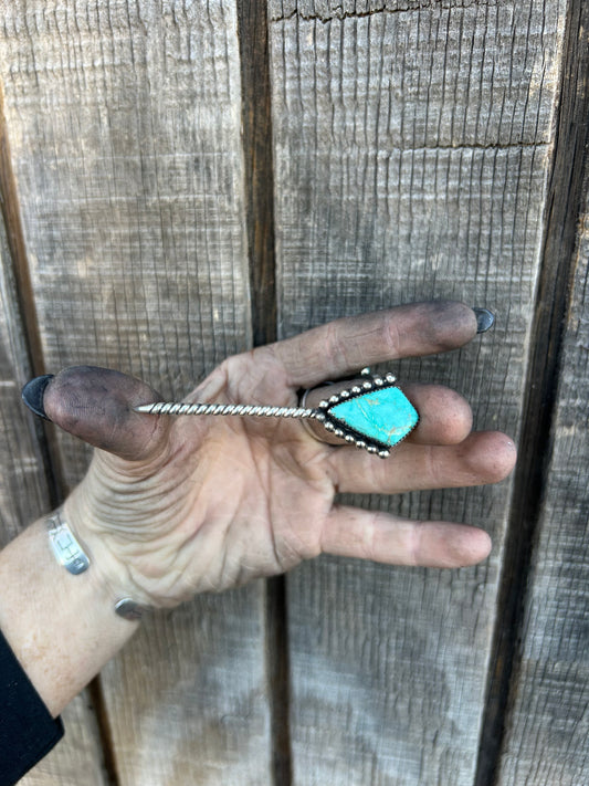 Aerosmiths hatpick